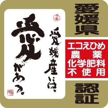 エコえひめ